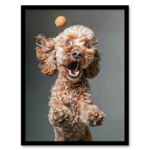 Funny Cockapoo Dog Lover Gift Treat Catch Photo Fun Black Framed Wall Art Print A4