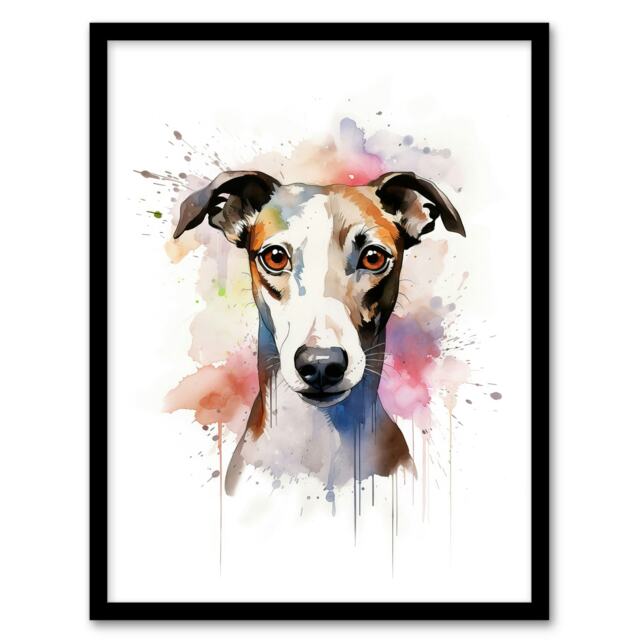 Whippet Lovers Gift Watercolour Pet Portrait Black Framed Wall Art Print A4