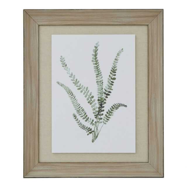 Hill Interiors Delicate Fern Watercolour Wood Framed Art Print - Brown/White/Green - One Size Brown
