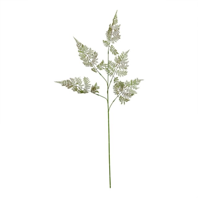 Hill Interiors The Natural Garden Collection Bracken Fern Artificial Flower Spray - Green - One Size