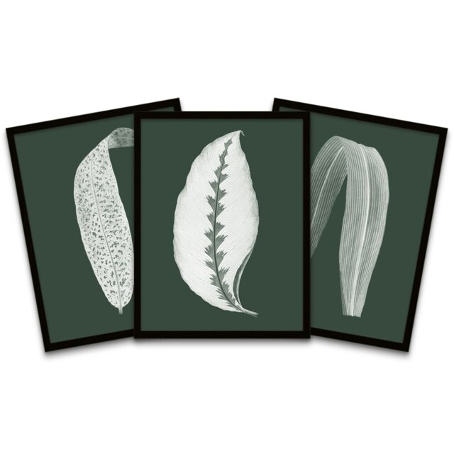 Botanics Hunter Green White Leaves Ferns Nature Framed Pack Of 3 Wall art Print Home Decor