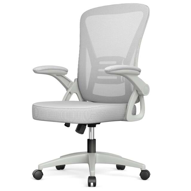 Rattantree Ergonomic Office Chair with Flip Up Armrests & Lumbar Support