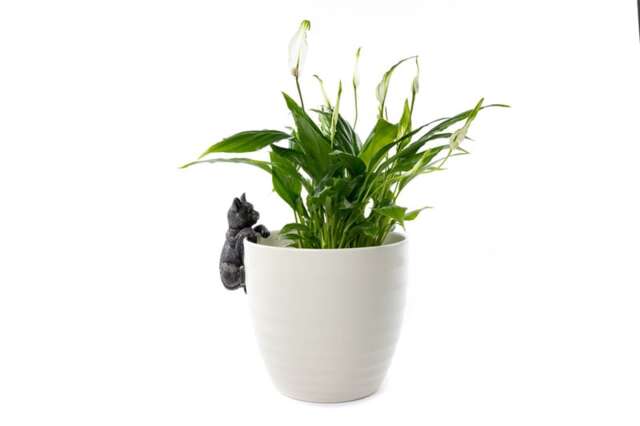 Cat Plant Pot Hanger - L11.5 x W5 x H5.5 cm Black