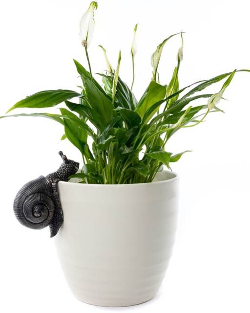 Snail Plant Pot Hanger - L10.5 x W5 x H7 cm Bronze
