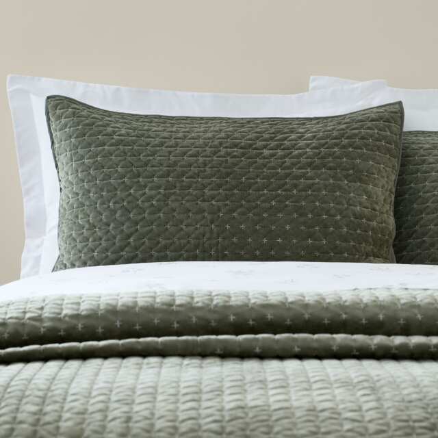 Bianca Attica Velvet Embroidered Pillow sham Pair Green Standard