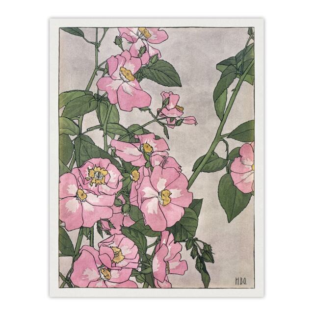 "Prairie Rose Flowers Vintage Wall Art Print Borger Overbeck 12x16"""