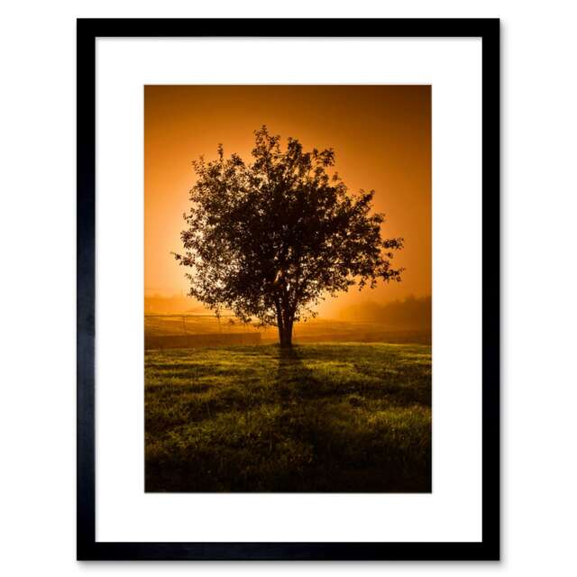 "Lone Tree Sunset Silhouette Countryside Landscape 9x7"" Black Framed Wall Art Print"