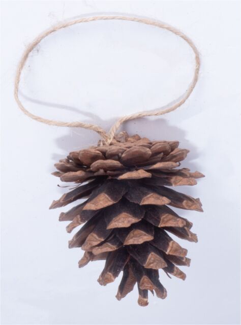 St Helens Brown Hanging Pinecones - Set Of 6