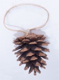 St Helens Brown Hanging Pinecones - Set Of 6