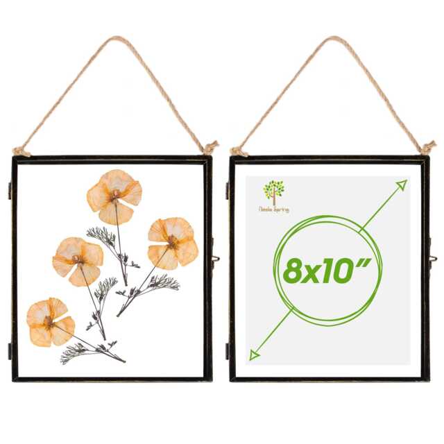 "Nicola Spring Hanging Metal Photo Frames - 8"" x 10"" - Black - Pack of 2 Black Black One Size"
