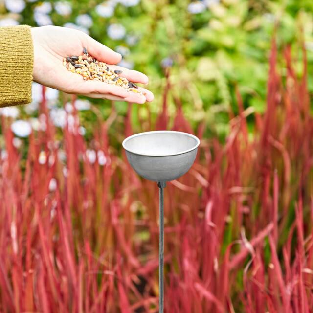 Recycled Iron Silver Rain Catcher