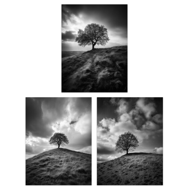 Set of 3 Lone Tree Hill Black White Photographs Countryside Landscape Wall Art Prints 12X16 Inch