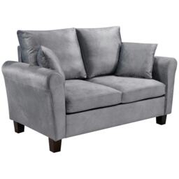 Plush Velvet 2 Seat Sofa in Grey