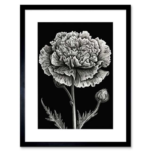 "Floral Black White Carnation Flower 9x7"" Black Framed Wall Art Print"