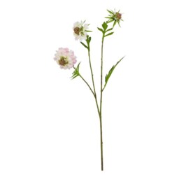 The Natural Garden Collection Scabious - Artificial Flower (Single Stem) - Plastic - L17 x W21 x H65 cm - Pale Pink