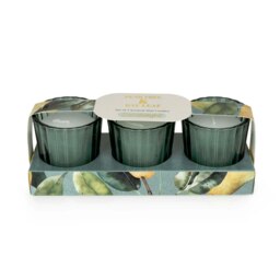 Candlelight Set of 3 Mini Votive Candles Pear Tree & Bay Leaf Green One Size 1