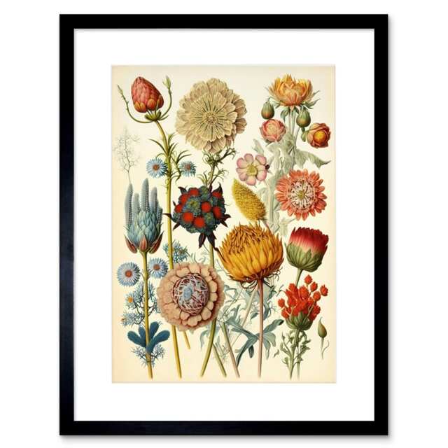 "Botanical Ernst Haeckel Style Plant Watercolour 9x7"" Black Framed Wall Art Print"