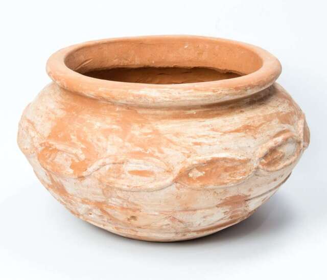Primrose Garden Decorative Terracotta Vase Patio Planter 56cm