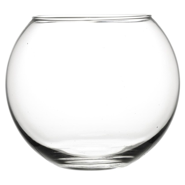 Large Round Glass Vase Fish Bowl