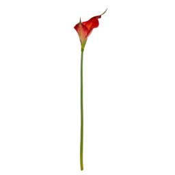 Fireball Calla Lily Artificial Flower - Plastic - H70 cm - Red