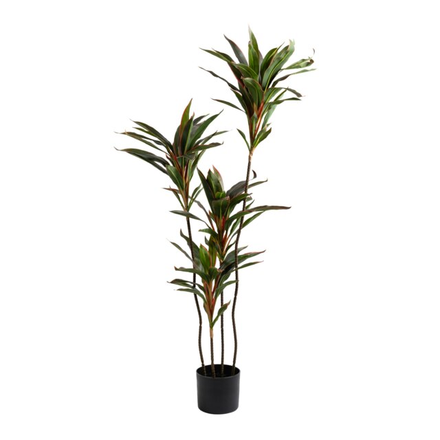 120Cm Real Touch Dracaena in Black Plastic Pot Red One Size