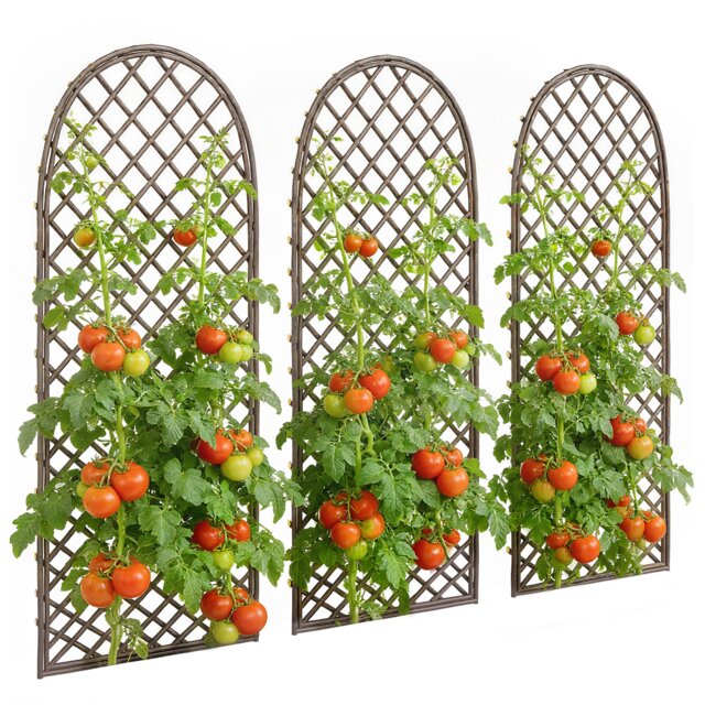 Outsunny Garden Trellis, Decorative Trellis Panels with Dome Top, Natural Brown Natural wood