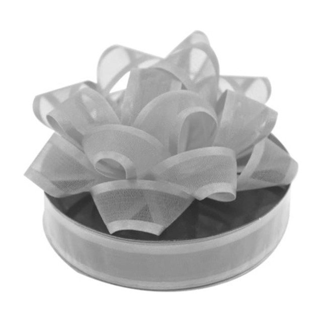 Christmas Silver Organza Ribbon
