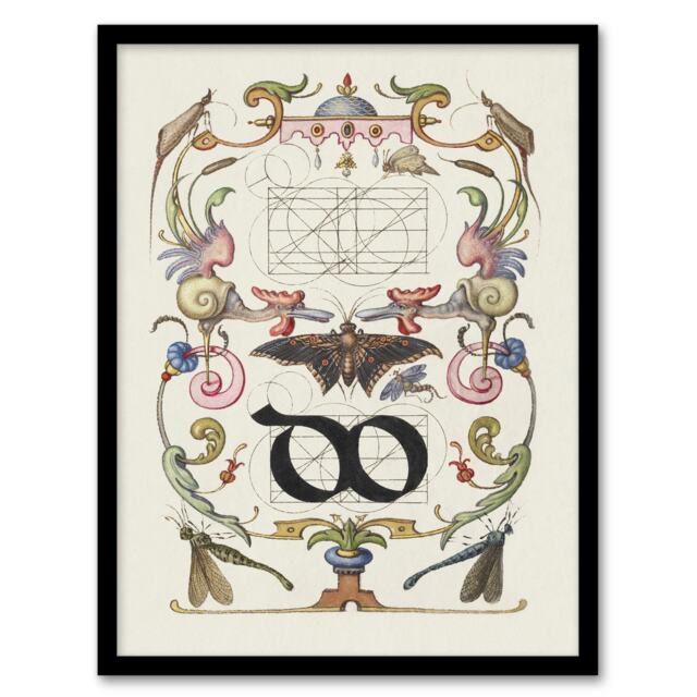 "Ligature Guide with Butterfly Calligraphy Framed Wall Art Print 12X16"""
