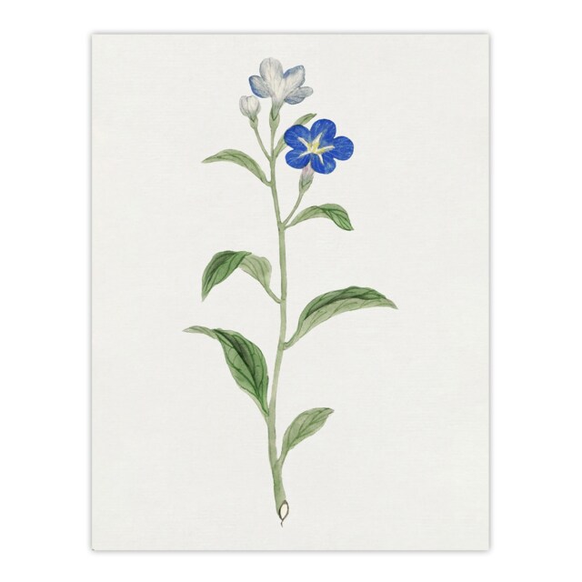 "Blue Flower Wall Art Print Vintage Japanese Botanical 12x16"""