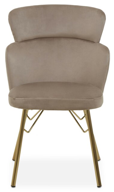 Orsina Mink Velvet Chair, Rustless Velvet Armchair, Easy to Assemble Bedroom Chair, Easy to Clean Outdoor Chair