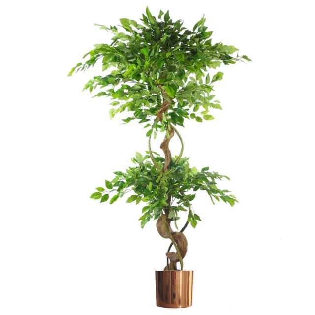 150cm Twisted Trunk Artificial Japanese Fruticosa Ficus Tree Copper Planter Green 5ft