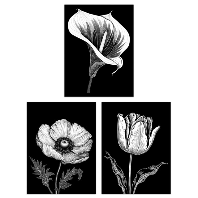 Set of 3 Elegant Single Tulip Anemone Calla Lily Flowers Floral Black Home Decor White Artwork Wall Art Prints 12X16 Inch