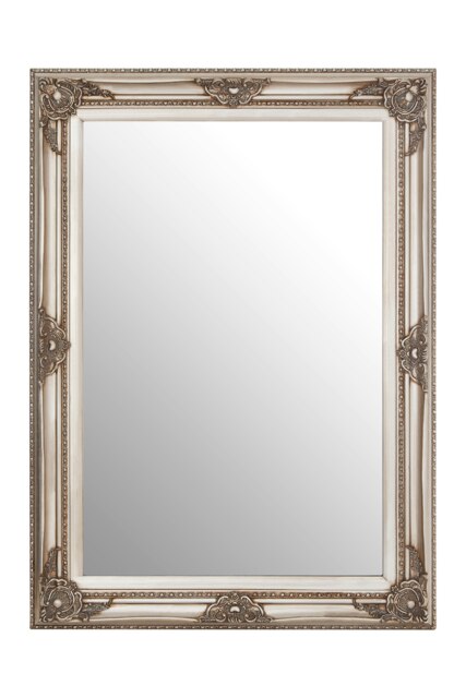 Baroque Rectangular Grey Wall Mirror,Shaped Hallway Mirror,Mirror With Landscape & Portrait Hanging Options Grey
