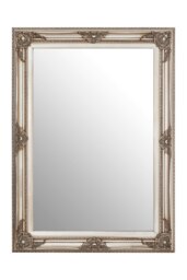 Baroque Rectangular Grey Wall Mirror,Shaped Hallway Mirror,Mirror With Landscape & Portrait Hanging Options Grey