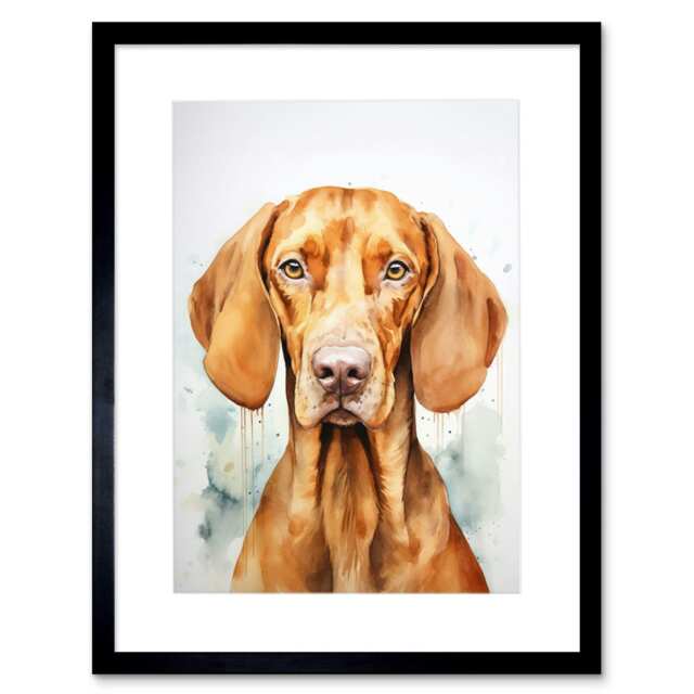 "Hungarian Vizsla Dog Soft Watercolour 9x7"" Black Framed Wall Art Print"