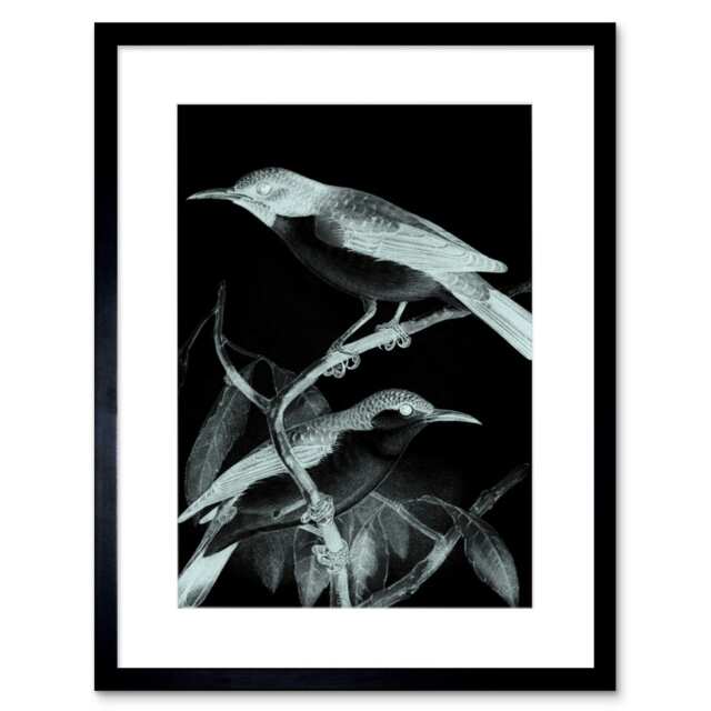 "Birds on Tree Branch Night Vision Photo Negative 9x7"" Black Framed Wall Art Print"