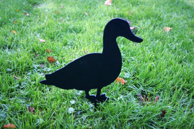 Duck Facing - Hand Made By Traditional Forge Garden Ornament - Steel - W17.8 x H30.5 cm - Powder Coated Black