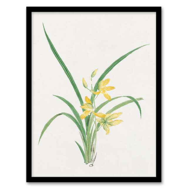 Vintage Japanese Botanical Framed Wall Art Print Yellow Lilies Home Décor