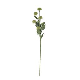 Hill Interiors Globe Thistle Spray Artificial Flower - Green - 81cm x 18cm x 18cm
