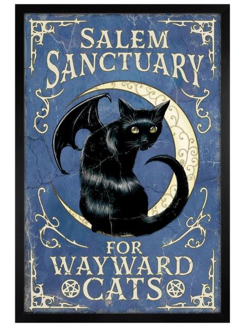 Black Wooden Framed Salem Sanctuary For Wayward Cats Maxi Poster Multi