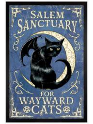 Black Wooden Framed Salem Sanctuary For Wayward Cats Maxi Poster Multi