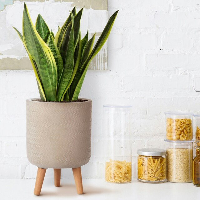 Plaited Style Beige Cylinder Planter on Legs, Round Pot Plant Stand Indoor D24 H35 cm, 8.7 ltrs Cap.
