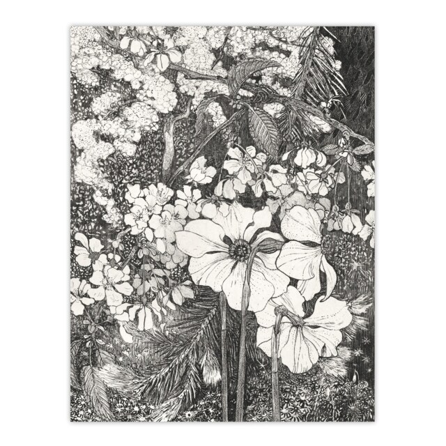 "Spring Flowers Black and White Vintage Wall Art Print van Hoytema 18x24"""