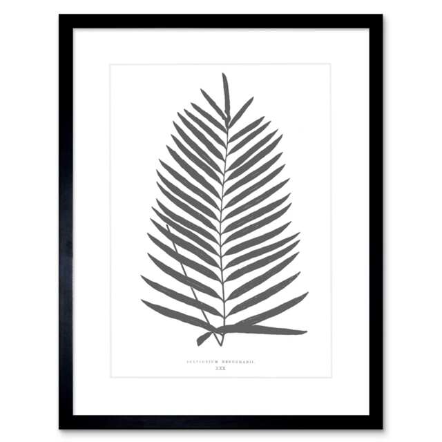 "Fern Botanical Vintage Grey Leaf 9x7"" Black Framed Wall Art Print"