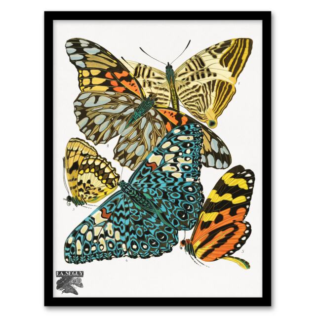 Eugene Seguy Framed Wall Art Print Vintage Butterflies Blue Yellow Home Décor
