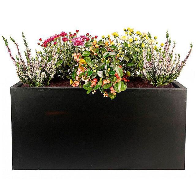 Window Box Light Concrete Black Outdoor Garden Planter H20.5 L50 W20 cm, 21 ltrs Cap.