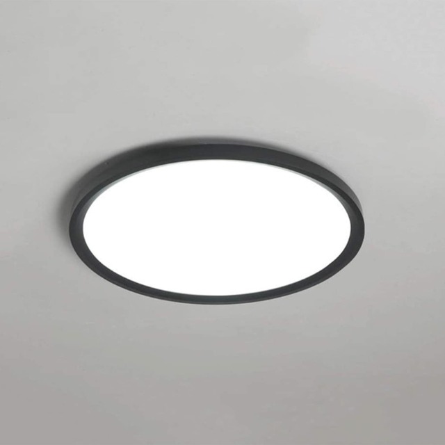 LED Ceiling Light Fixture Cool White Round Flush Mount Black 27cm