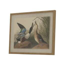 Flora & Fauna Collection Mallards on Linen in Beaded Frame - Glass - L2 x W40 x H50 cm - Brown