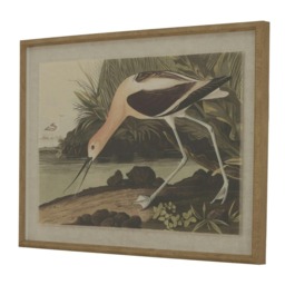 Hill Interiors Flora & Fauna Collection Avocet Linen Framed Wall Art - Multicoloured - 45cm x 2cm x 62cm
