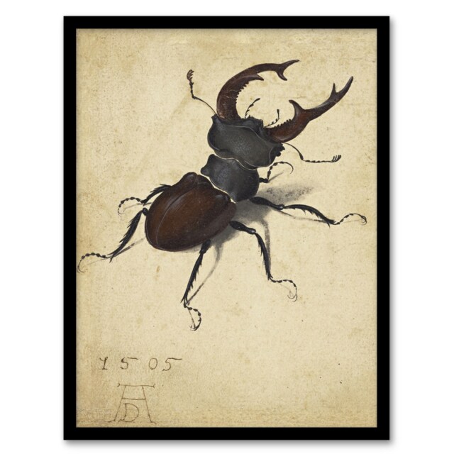 Albrecht Durer Stag Beetle Nature Study Painting Framed Wall Art Print A3